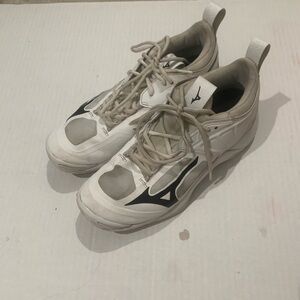 Mizuno shoes